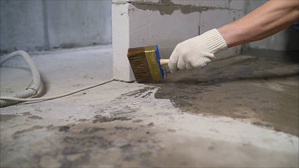 24/7 Emergency Crawl Space Encapsulation experts in Roselle, NJ